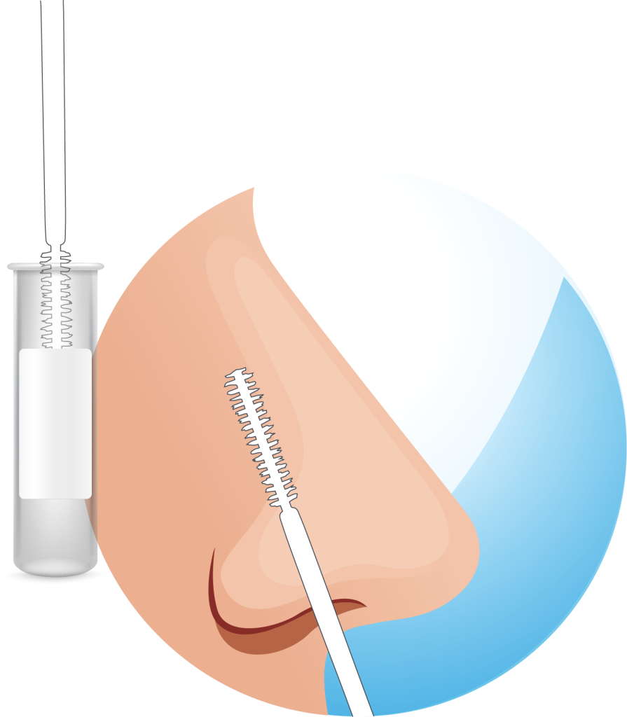 Graphical representation of a nasal swab brushing and collection tube