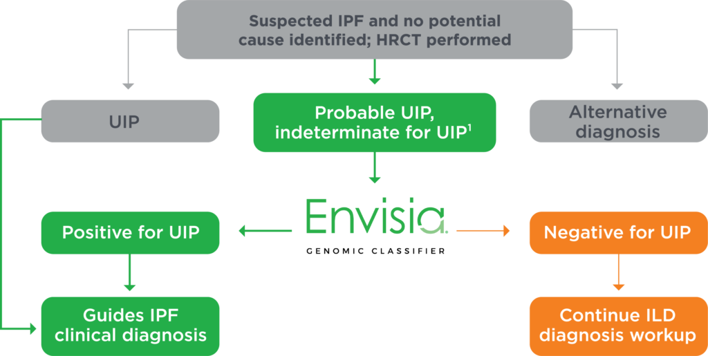 Flowchart showing how Envisia test works: In patients with suspected IPF and no potential cause identified after a HRCT is performed, risk can be classified for probably UIP or indeterminate for UIP. Envisia can help reclassify into Positive for UIP, which guides IPF clinical diagnosis, or negative IPF, which guides subsequent procedures for example continuation of ILD diagnosis workup.